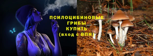 синтетический гашиш Медногорск